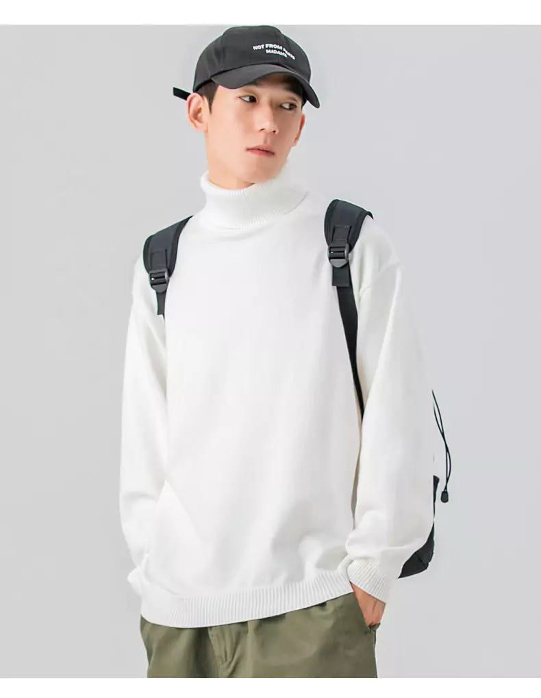 Gemütlicher, einfarbiger Strickpullover mit Rollkragen