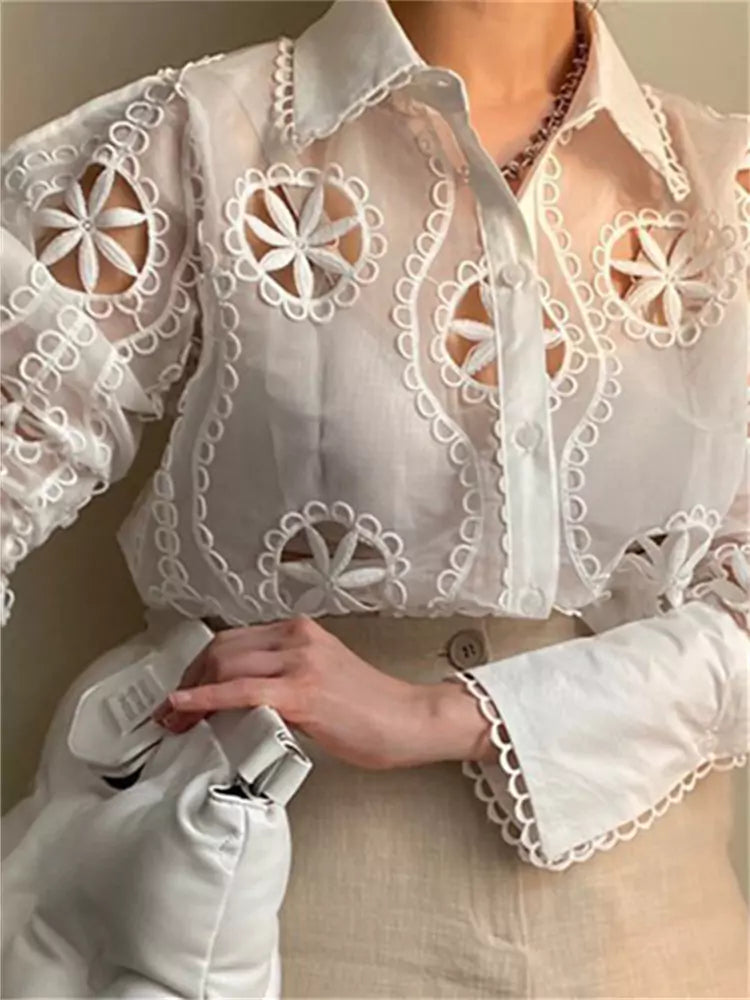 Elegant Lace Mesh Blouse with Ruffled Collar and Puff Sleeves