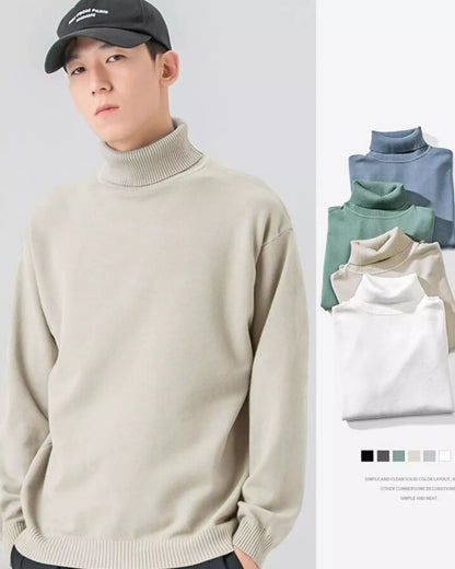 Gemütlicher, einfarbiger Strickpullover mit Rollkragen