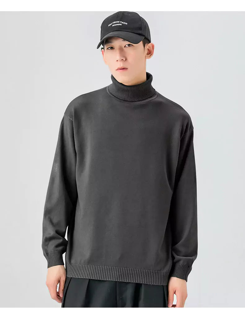 Cozy Solid Color  Knitted Turtleneck Sweater