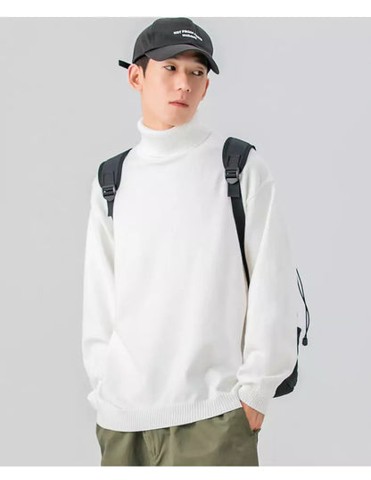 Gemütlicher, einfarbiger Strickpullover mit Rollkragen