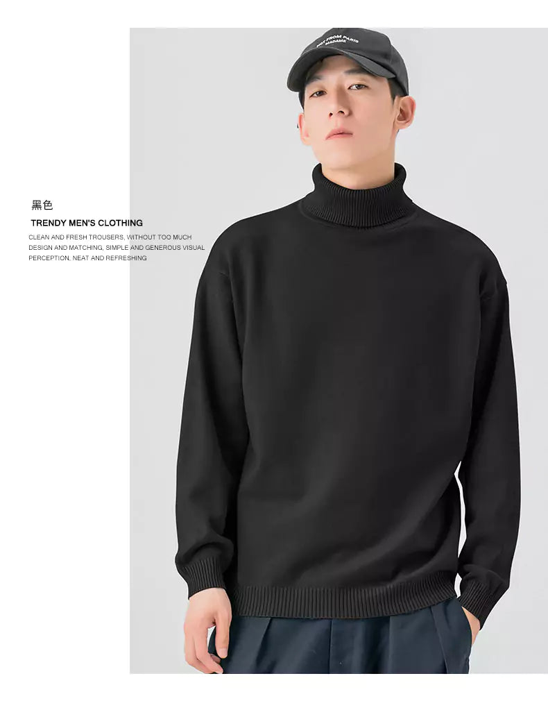 Cozy Solid Color  Knitted Turtleneck Sweater